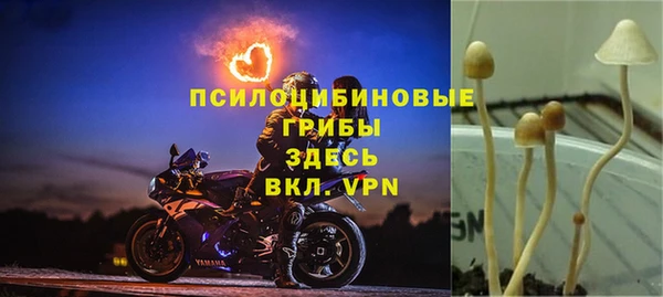 мдма Новозыбков