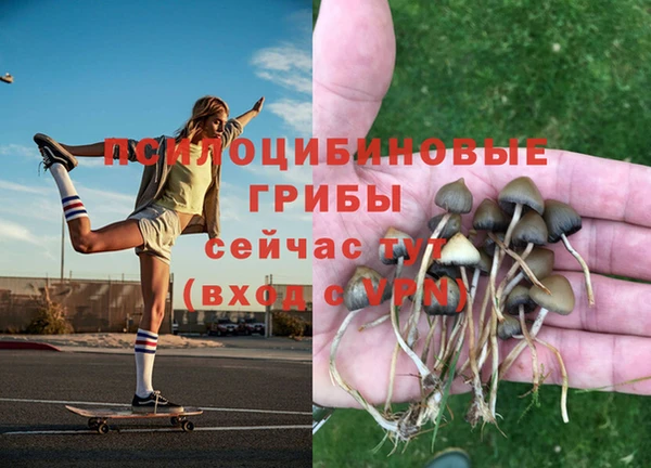 метадон Нефтегорск