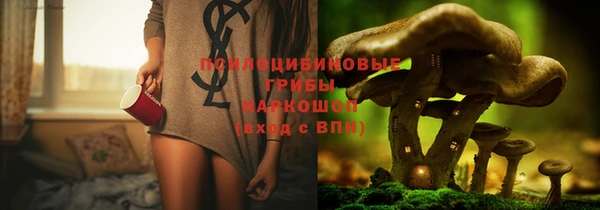 мдма Новозыбков