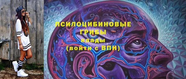 прущие грибы Аркадак
