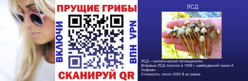 Псилоцибиновые грибы GOLDEN TEACHER  мега вход  Зубцов  как найти наркотики 